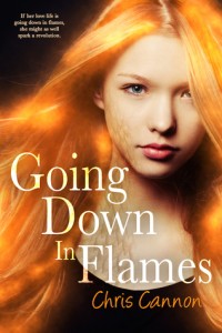 Cover of Going Down in Flames by Chris Cannon