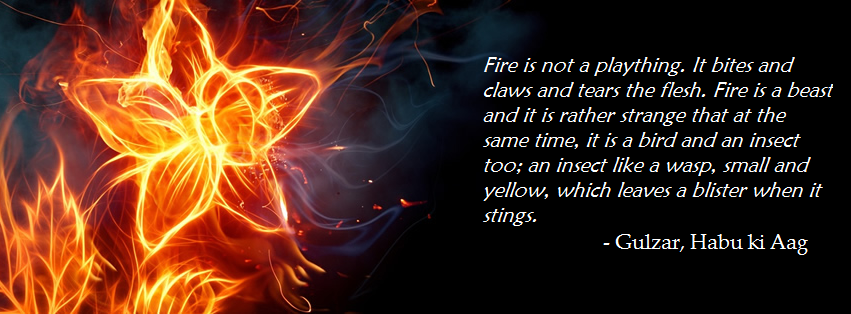 Fire is not a plaything. It bites and claws and tears the flesh. Fire is a beast and it is rather strange that at the same time, it is a bird and an insect too; an insect like a wasp, small and yellow, which leaves a blister when it stings.