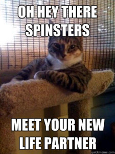 spinster cat