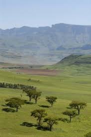 Natal, South Africa