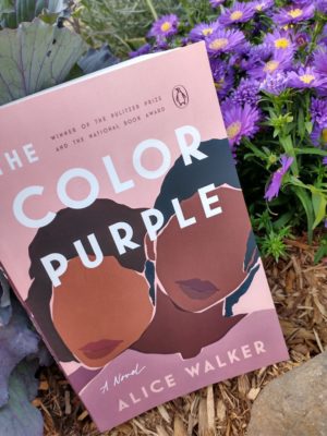 Stereotypes In The Color Purple By Alice Walker