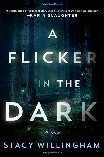 A Flicker in the Dark book cover