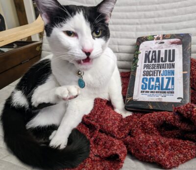 Disgruntled black and white cat sitting next to "The Kaiju Preservation Society" by John Scalzi