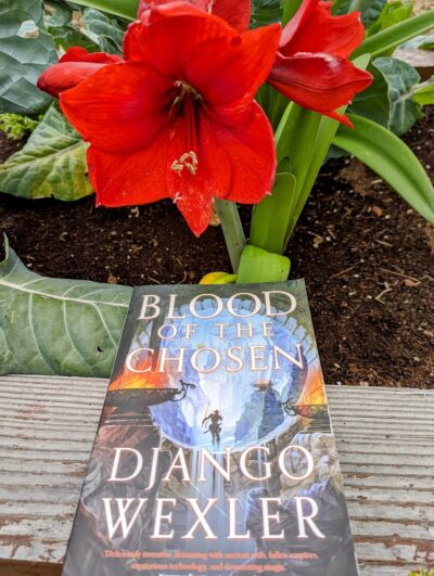 The book, "Blood of the Chosen" by Django Wexler lying in front of a red, blooming amaryllis flower. 