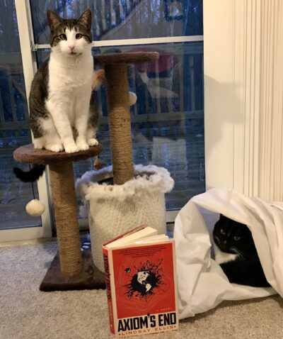 two cats, a scratching post, and a hardcover copy of Axiom's End