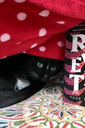 cat under blanket with copy of Rosewater by Tade Thompson