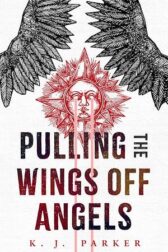 pulling wings off angels book cover