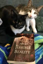 cats with copy of an annoying book