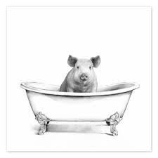 Pig in an old bathtub