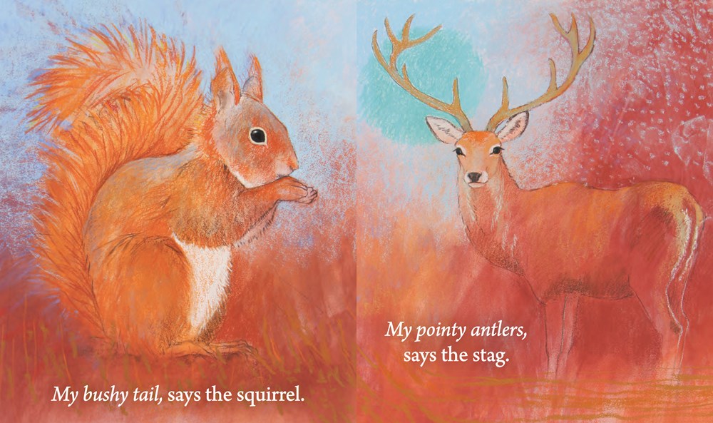 Hello Animals Hello Animals: A Board Book Gift Collection by Loes Botman – BlackRaven ...