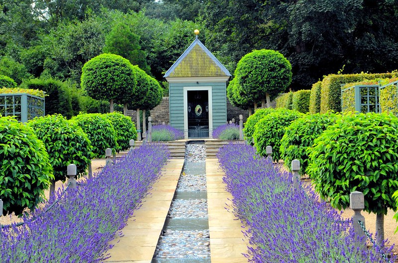 Lavender House by Lev AC Rosen – lafocareta Book Review – Cannonball ...