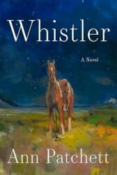 a horse standing under a night sky in a field