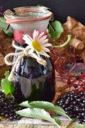elderberrywine Real elderberry flowers and wine photo with link to elderberrywine bio