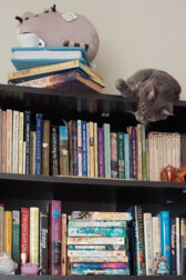 CoffeeShopReader